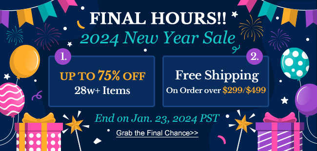 FINAL HOURS!! 2024 New Year Sale